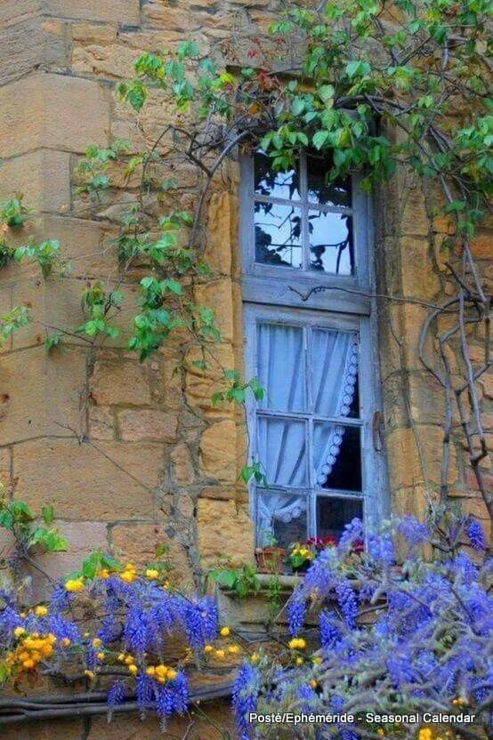 Pin by Soraya on janelas/windows Provence style, Provence, French countryside