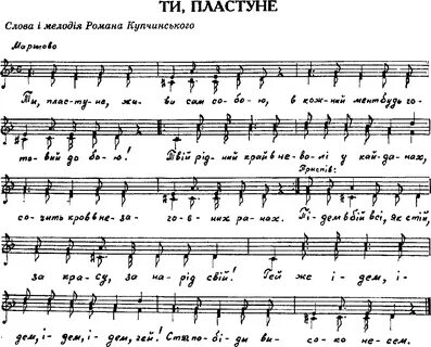 В краю магнолий текст