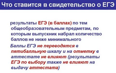 Выборы егэ