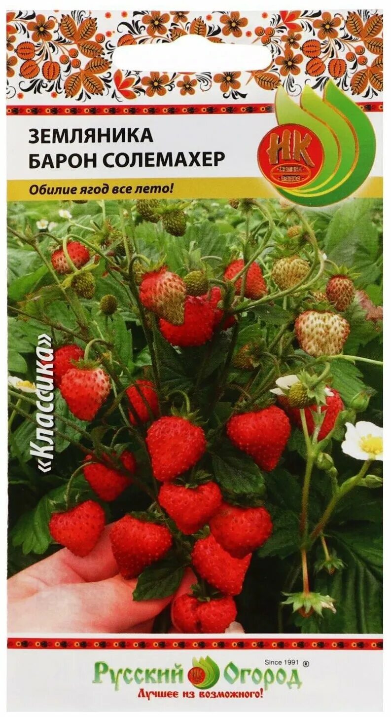 земляника барон солемахер описание. земляника барон солемахер.