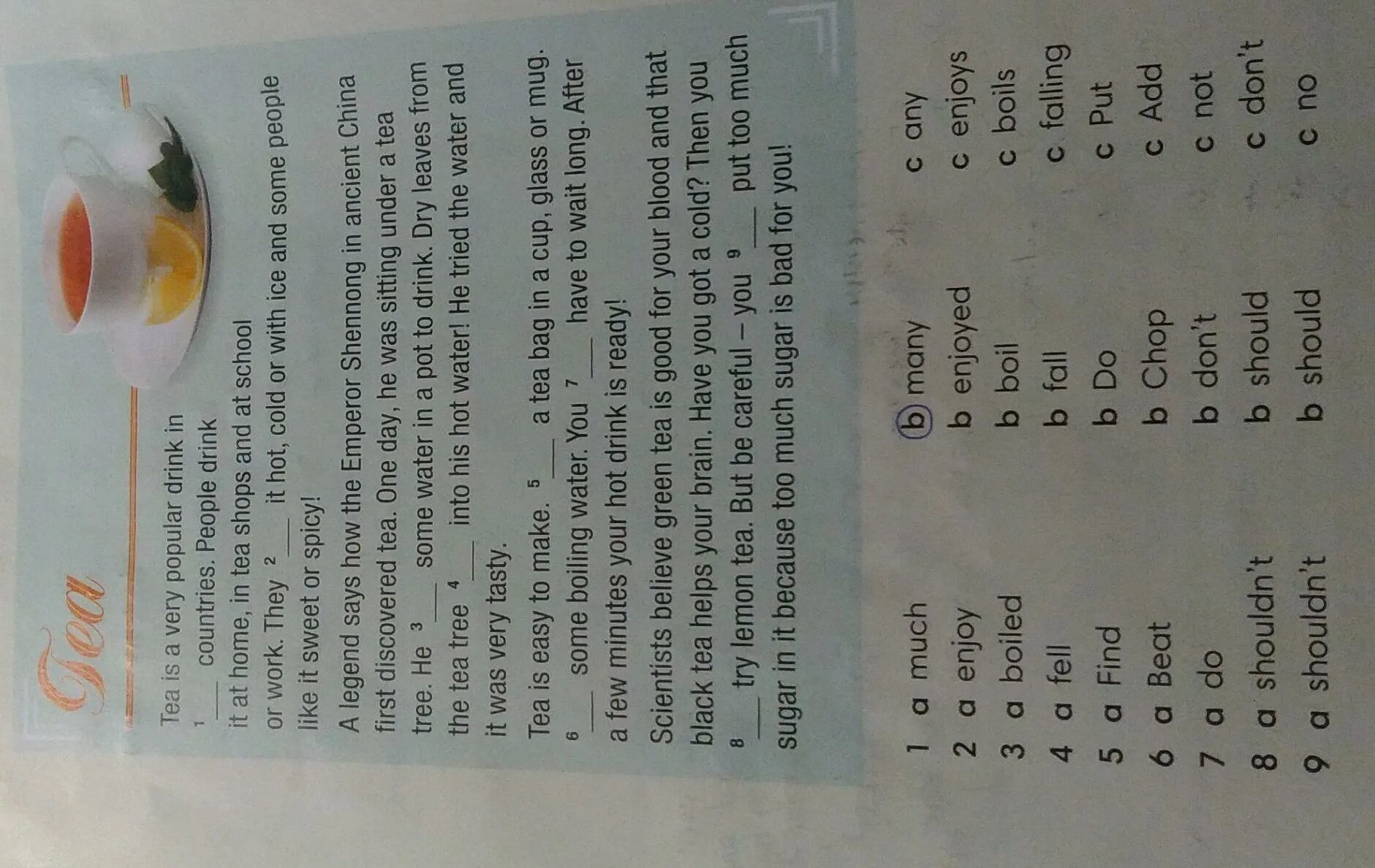 Circle the correct answer 4 класс. Read the text and circle the correct answers. Circle the correct answer 6 класс ответы. Circle the correct answer стр61.