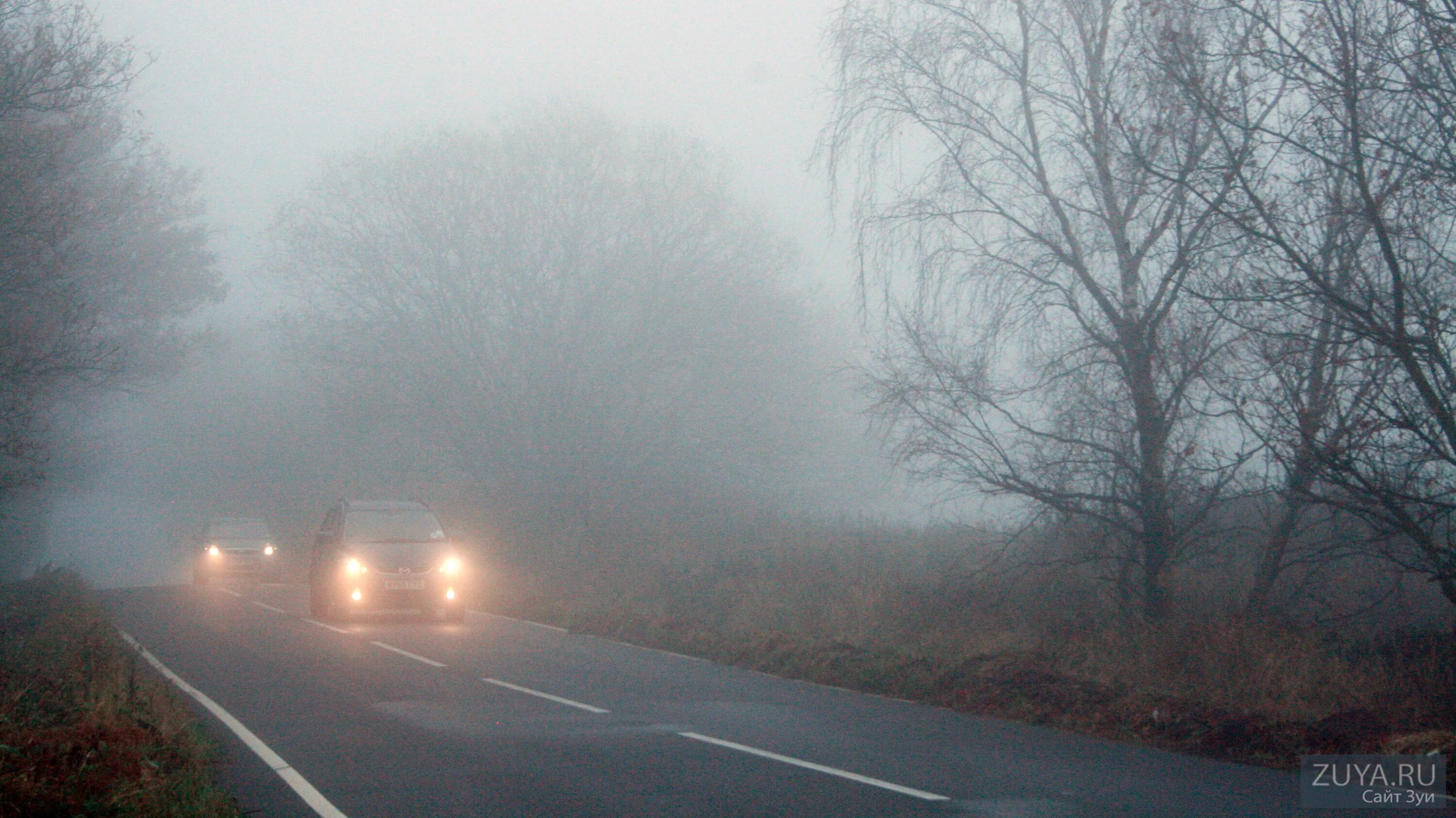 Условиях сильного тумана. Сильный туман. Сильный туман на дороге. Предупреждение туман. Foggy weather.