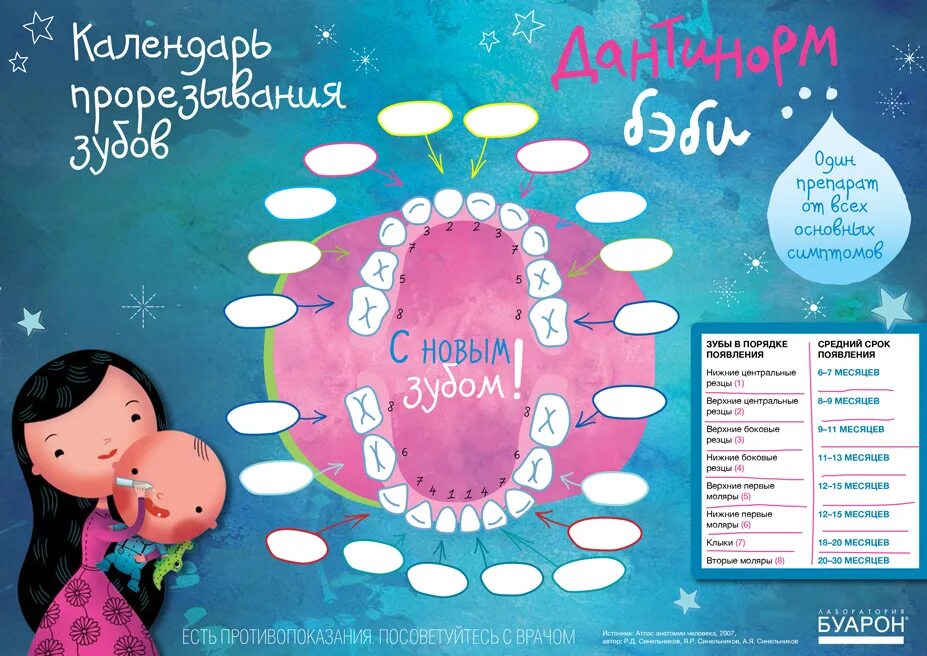 Первые зубы последовательность