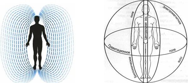 Духовное изменение организма. Спектр магнитного поля человека. Аура человека магнитное поле. Магнитное поле человека схема. Электромагнитное поле человека.