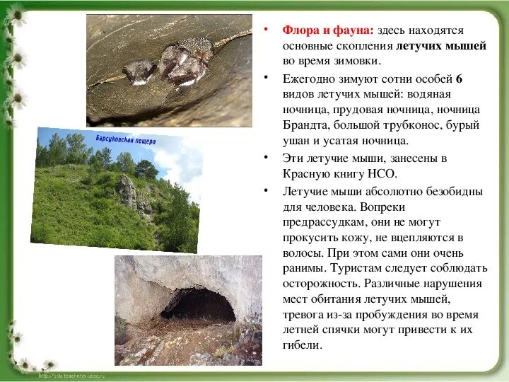 Что в этом месте обитает