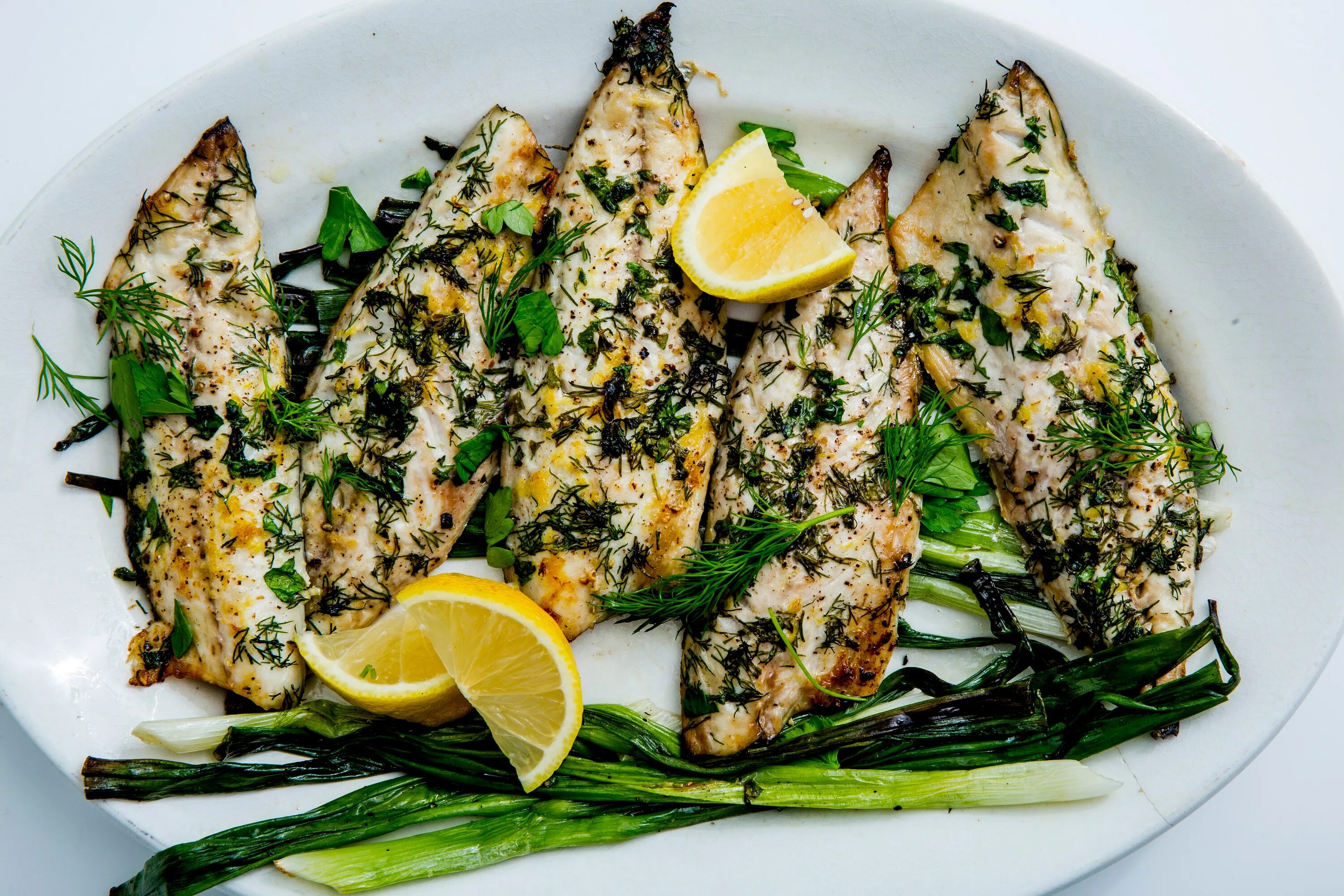 Mackerel перевод