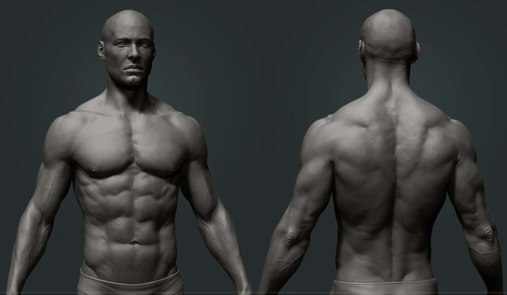 Модель человека фотографиям. Анатомия збраш. Райан Рейнольдс Zbrush. Блокинг Zbrush. Анатомия человека для 3d скульптинга.