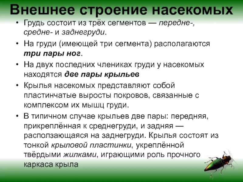 Составьте таблицу особенности внешнего строения насекомого Сколько отделов у насекомых Вопросы и ответы