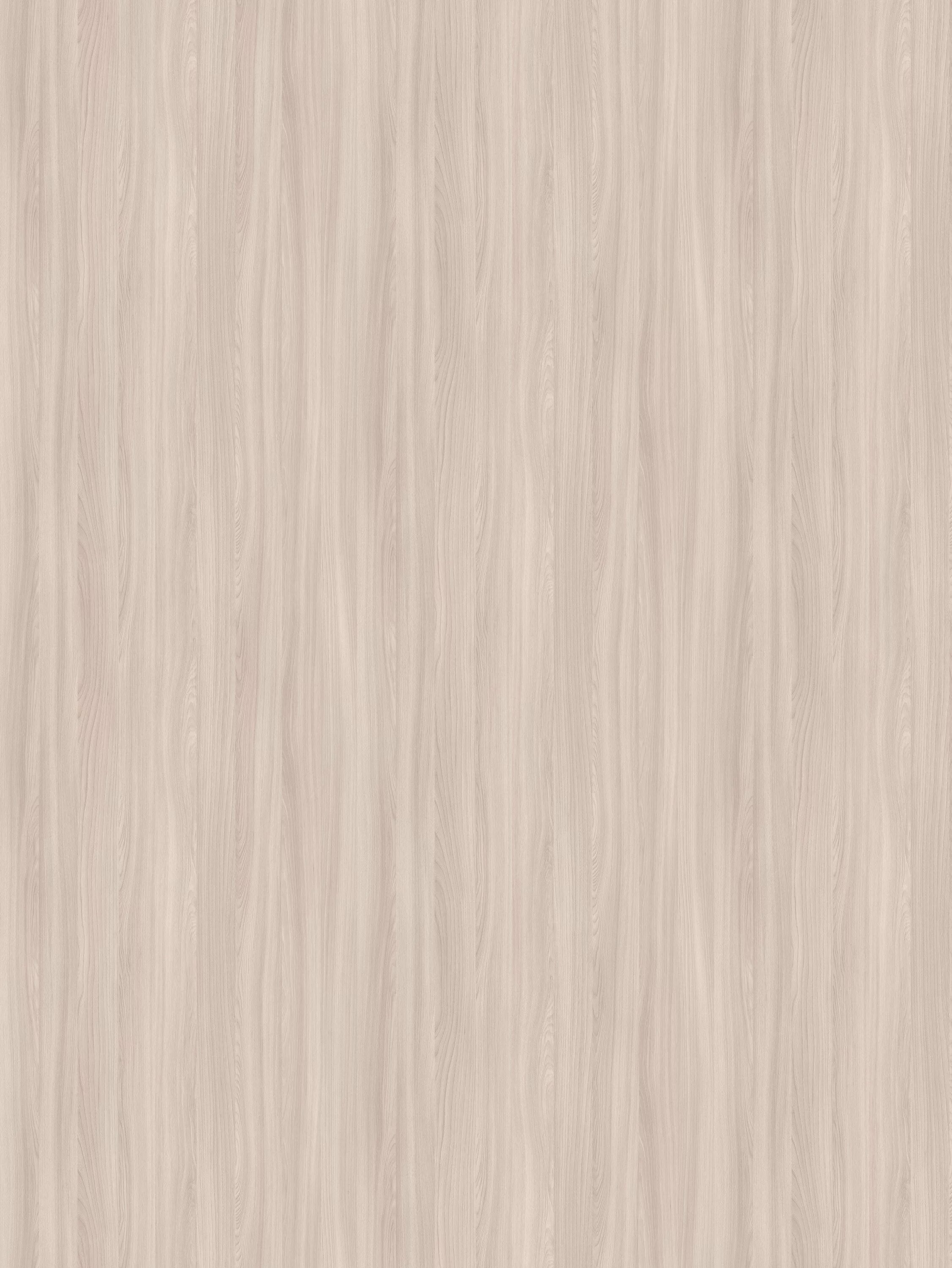 ясень шимо серый