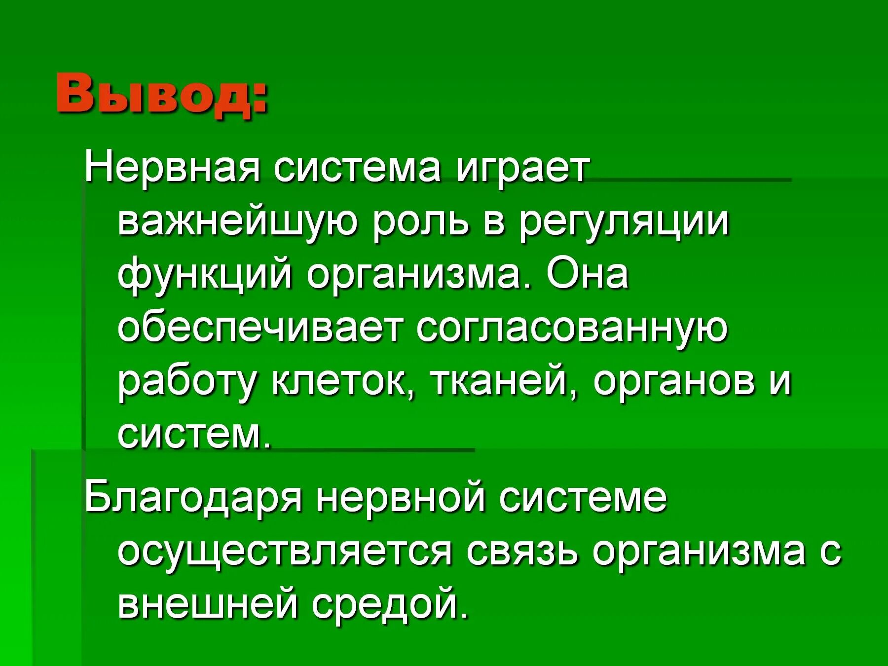 Для чего нужна нервная система. Нервная система вывод. Вывод по нервной системе человека. Нервная система человека вывод. Нервная система презентация.