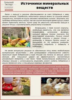 Какой корм лучше курам несушкам