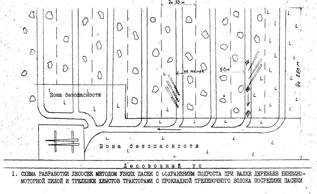 Схема разработки делянки. Схема разработки пасеки лесосеки. Схема разработки лесосеки при сплошной рубке. Схемы технологии разработки лесосек. Сохранение подроста