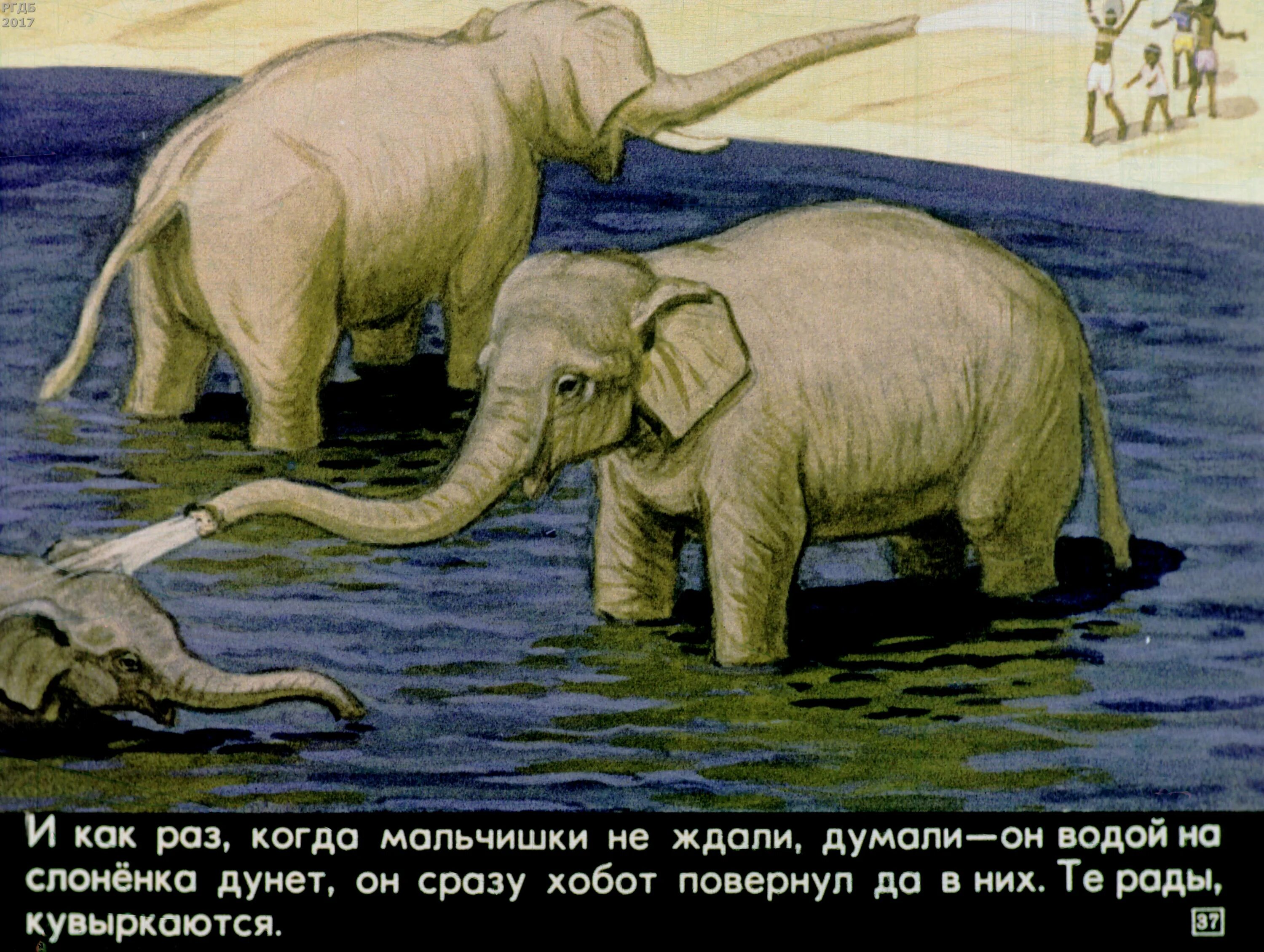 Житков про слона. Рассказ Житкова про слона. Житков про слона иллюстрации. Слоновые истории