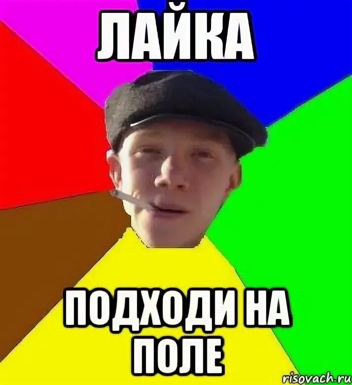 Пописал на поле