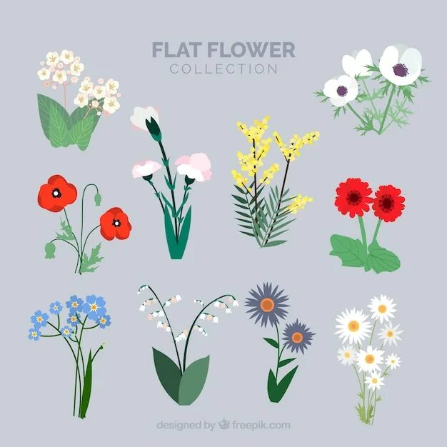Flat flower. Цветы в стиле flat. цветы флэт. flat иллюстрация цветов. цветы флэт дизайн.