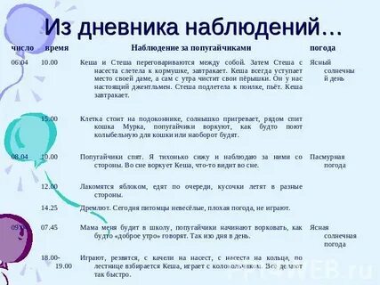 Дневник наблюдений за девушками монстрами