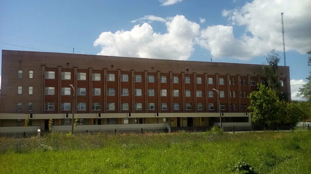 Электростальская Центральная городская больница. Журавлева 9 Электросталь. ЭЦГБ Электросталь. Детская поликлиника Электросталь. Муз эцгб запись