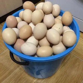 Что делать с домашними яйцами