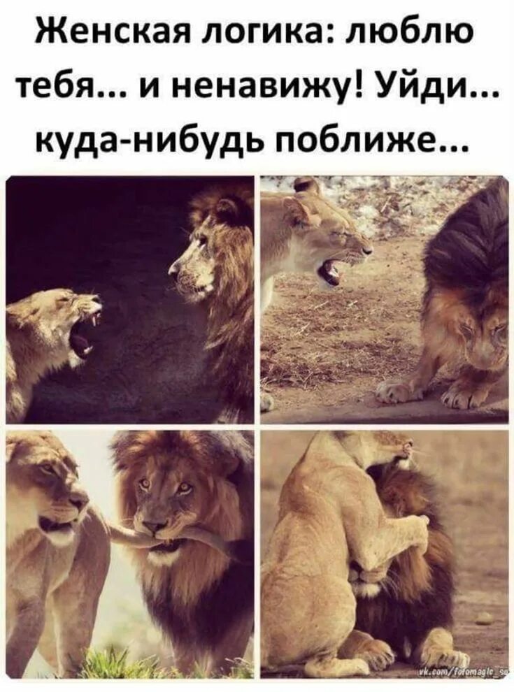 Где нибудь поближе