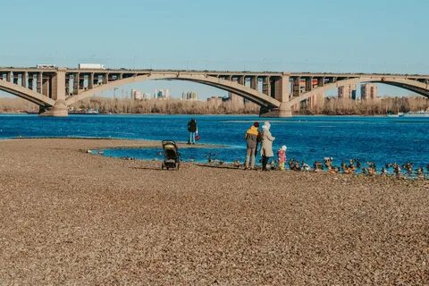 Где в красноярске растут