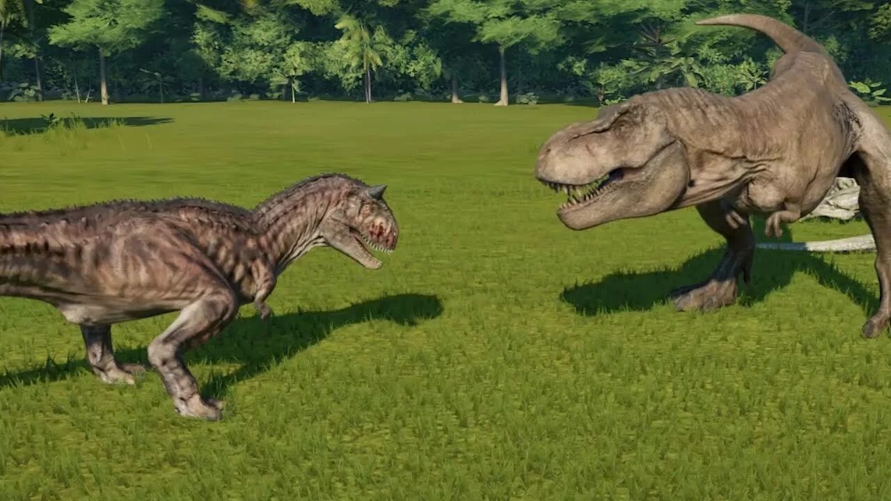 Кто сильнее гигантозавра. Тираннозавр и Карнотавр. Аллозавр и Карнотавр. Аллозавр и Тирекс. Гигантозавр Аллозавр Тираннозавр.
