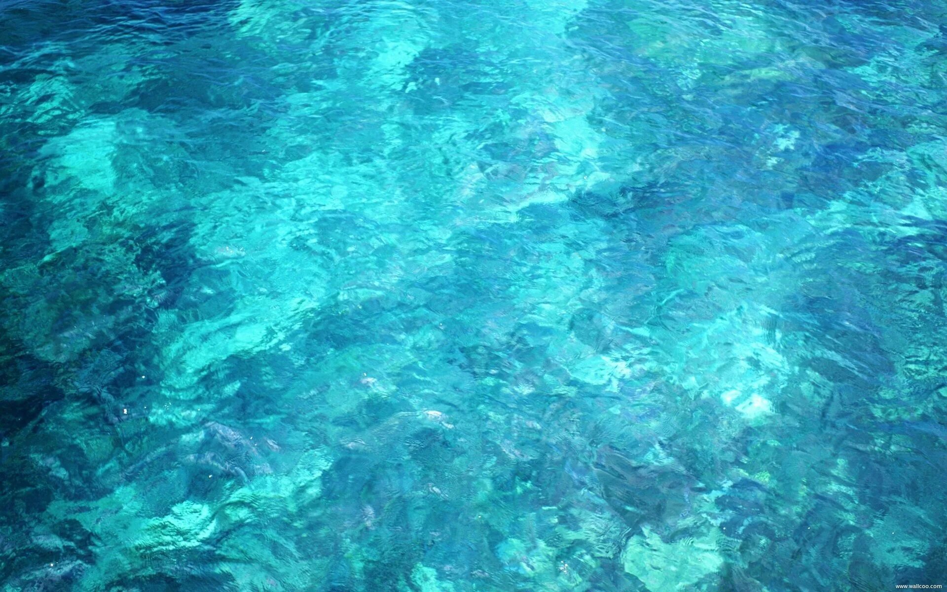 Цвет морской воды. Цвет морской волны. Бирюзовый цвет. Вода сверху. По бирюзовому небосклону бесконечно высокому