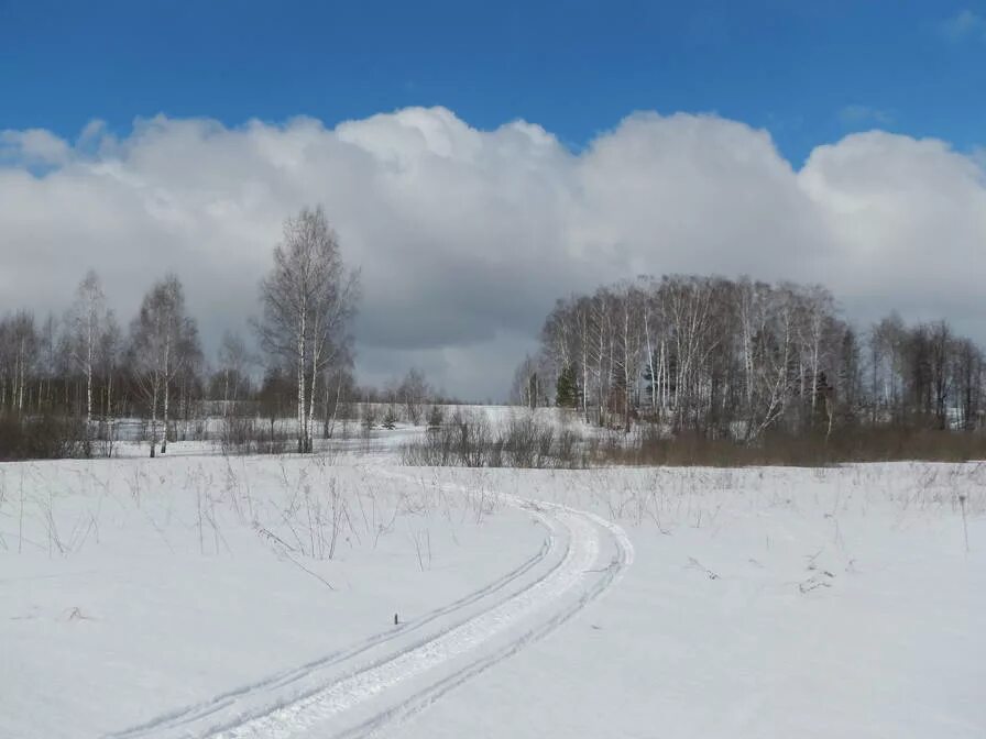 Подслушано фряново вконтакте. Ангары в лесу Арсаки.