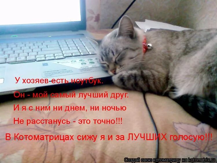 /выключай свет и баиньки. Покоя ни днем ни ночью. Покоя ни днем ни ночью. Тишина афоризмы. Лежебока рыжий кот отлежал себе.