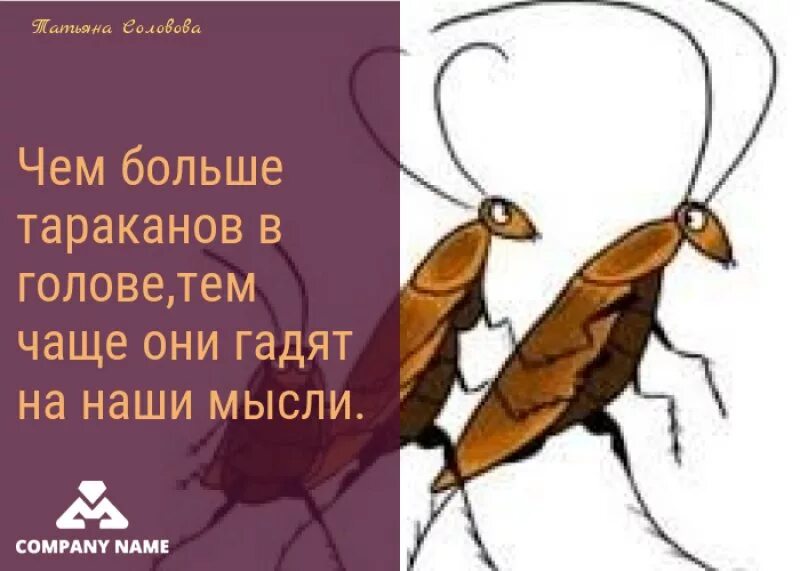 Отсутствие тараканов в голове 11 букв. Высказывания о тараканах в голове. Цитаты про тараканов в голове прикольные. Тараканы в голове приколы. Про тараканов в голове смешно.