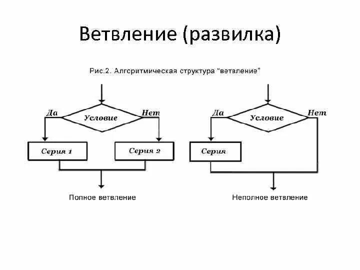 Презентация алгоритмическая структура ветвление 7 класс технология. Блок схема структуры ветвления. Алгоритмическая структура ветвление. Основные конструкции ветвления. Ветвление в информатике.