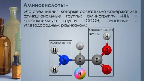 Две функциональные группы аминокислот