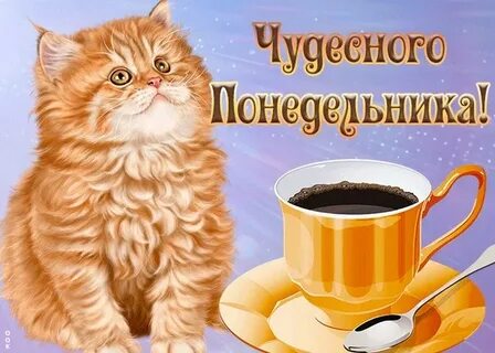 Доброго чудесного понедельника
