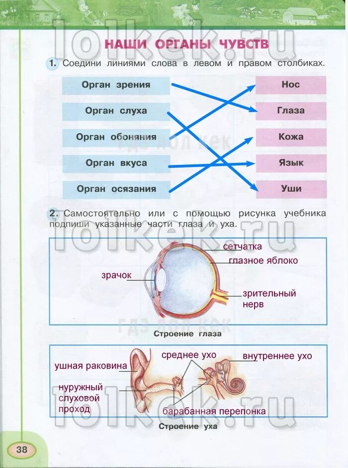 Окружающий мир 3 класс стр 46 48