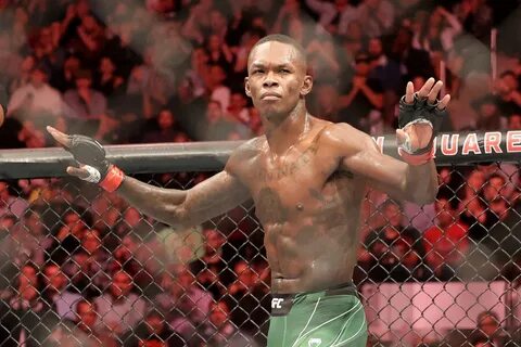 Перейра бои ufc