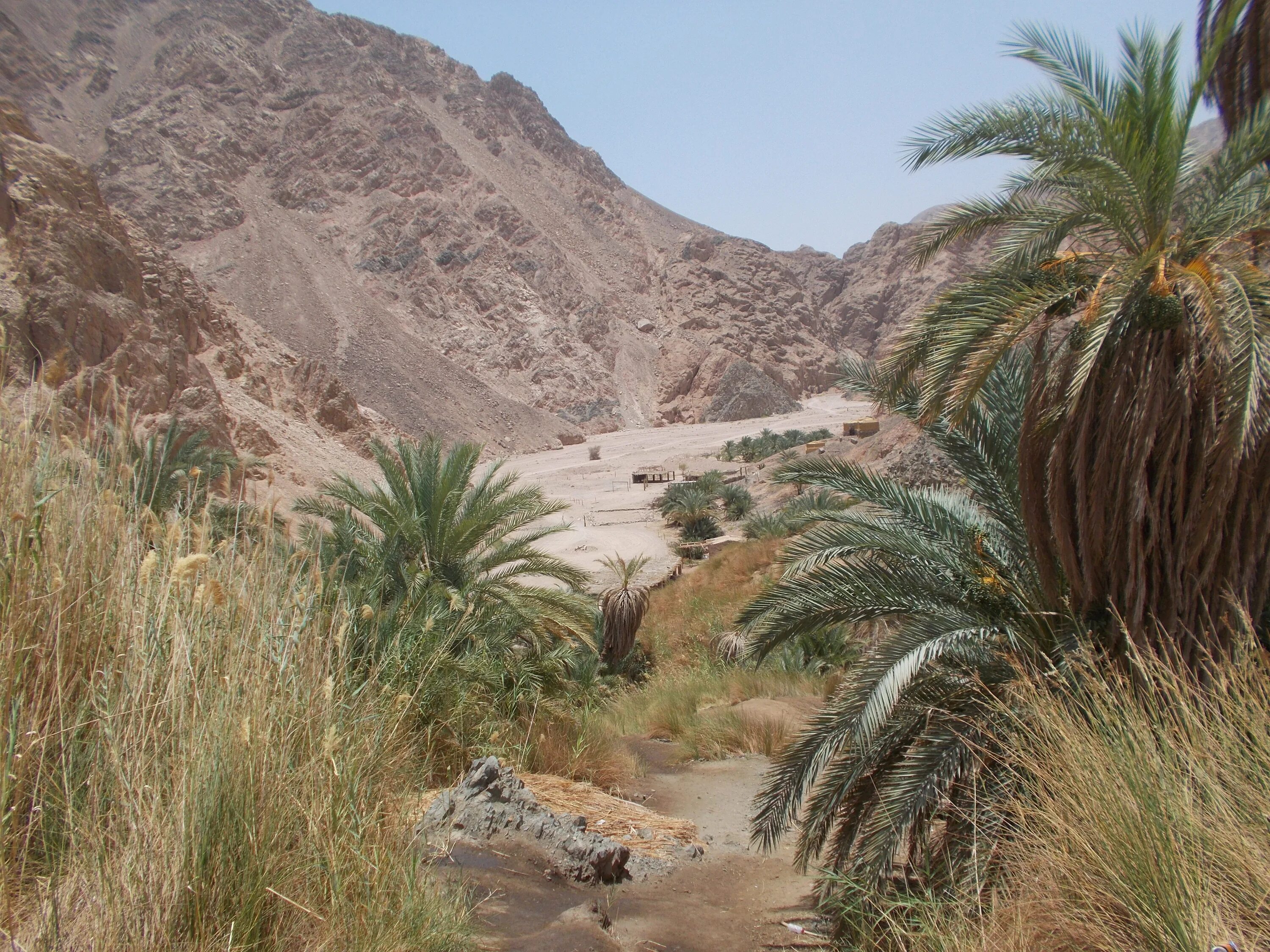 Климат Египта. Природа Египта. Египет пустыня. Египетский пейзаж. Египет природный фактор
