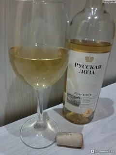 Вино лоза