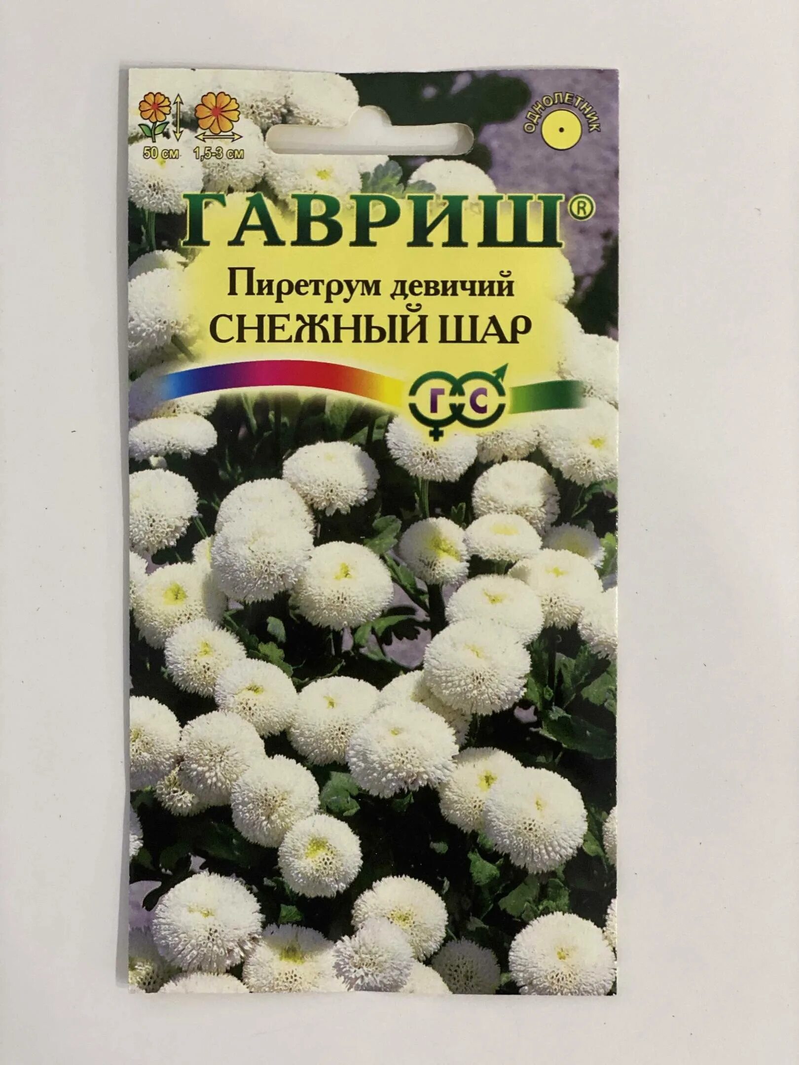 Пиретрум снежный шар. Хризантема пиретрум снежный шар. Пиретрум девичий снежный. Пиретрум девичий золотой шар. Пиретрум девичий снежнежный шар.