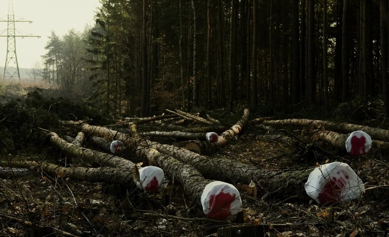 Обезлесение тропических лесов африки. Вырубание лесов обезлесение. Вырубка лесов экологическая проблема. Forest problem. Рубка лесов.