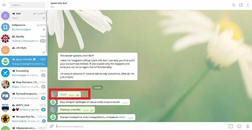 Как пользоваться телеграмм. Как пользоваться телеграм ботом. как пользоваться ботами в телеграмме. как найти бота в телеграмме. life bot в телеграмме.