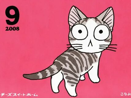 Chi cat