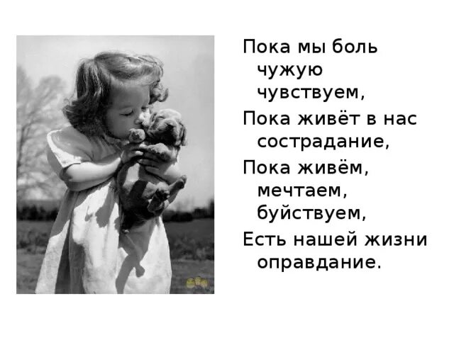 Стихотворения пока есть. Пока чувствует чужую боль. Пока живет в нас сострадание есть нашей жизни оправдание. Пока мы боль чужую чувствуем пока живёт в нас сострадание есть. Дементьев пока мы боль чужую чувствуем.