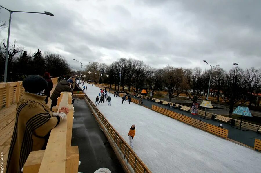 Горького каток метро. Каток в парке Горького.