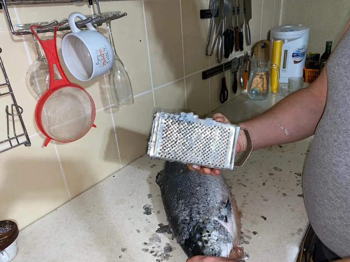 Чистка окуня от чешуи. Лайфхак как почистить чешую. Лайфхак как почистить чешую. Рыбочистка для окуня. Лайфхак как почистить чешую.