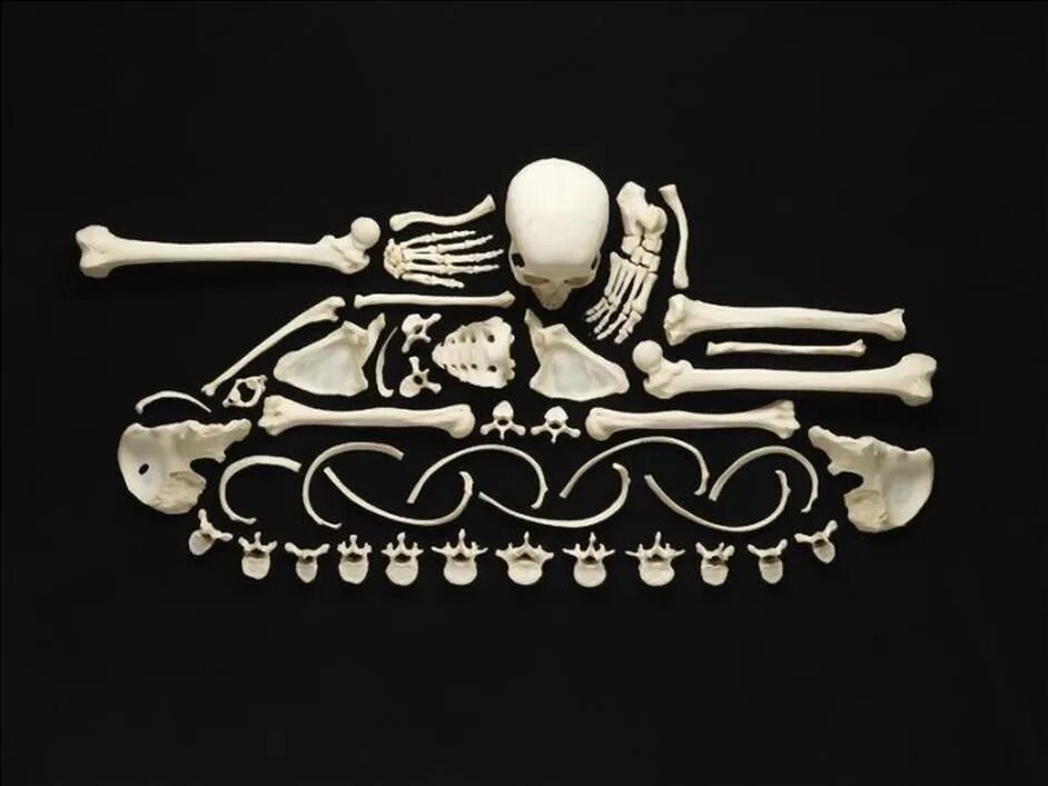 Bone art. Танк череп. Танк-скелет. Скелетные вещи. Череп на танке.
