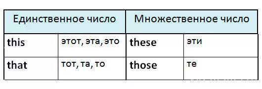 Множественное число слова dog. That во множественном числе на английском. This that во множественном числе. Указательные местоимения во множественном числе. This is во множественном числе
