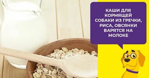 Какие каши можно собакам крупных пород