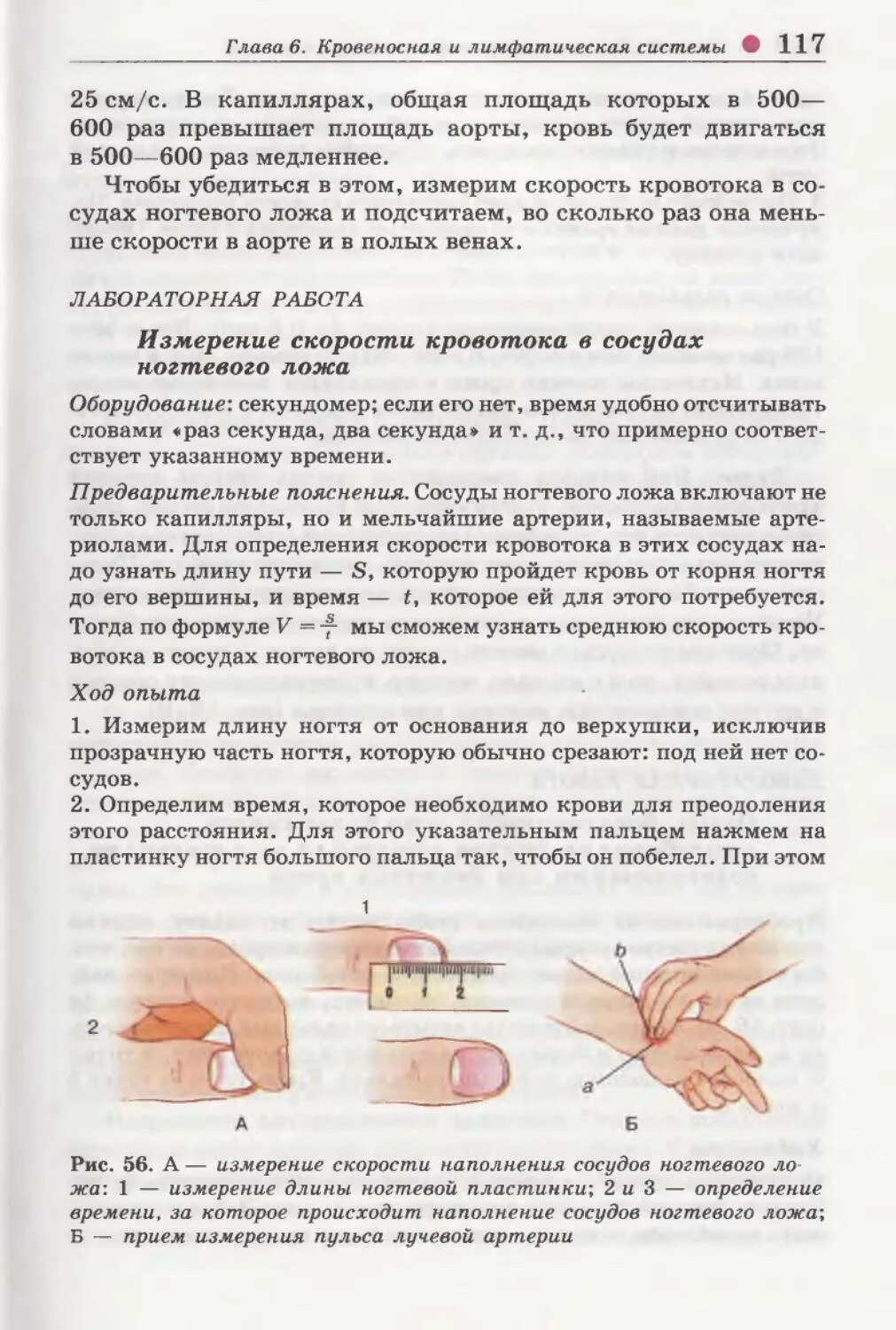 Заполнения капилляров