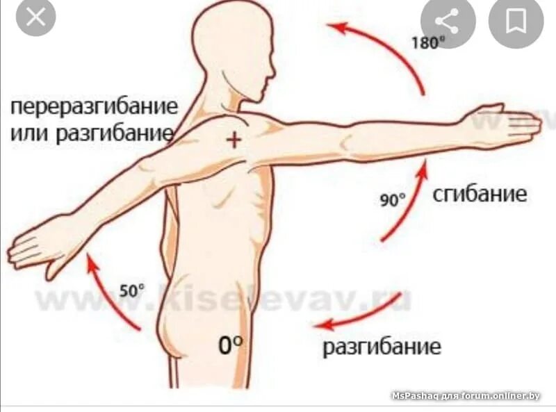 Горит предплечье. Разгибание плеча в плечевом суставе. Сгибание разгибание отведение приведение. Сгибание руки в плечевом суставе. Сгибание плеча в плечевом суставе.