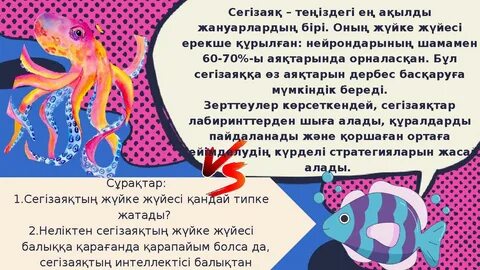 Анустағы сперматозоидтардың суреті