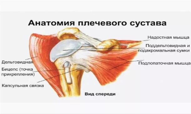 Дегенеративные изменения сухожилия надостной